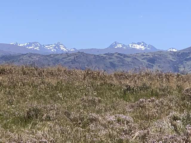 Lot Lot 3, Sim Lane Alexandra_1