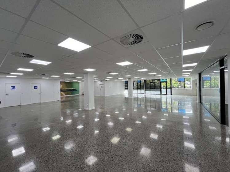 4 Murdoch Road Grey Lynn_14