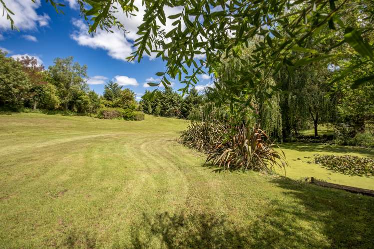 556 Kairakau Road Elsthorpe_7