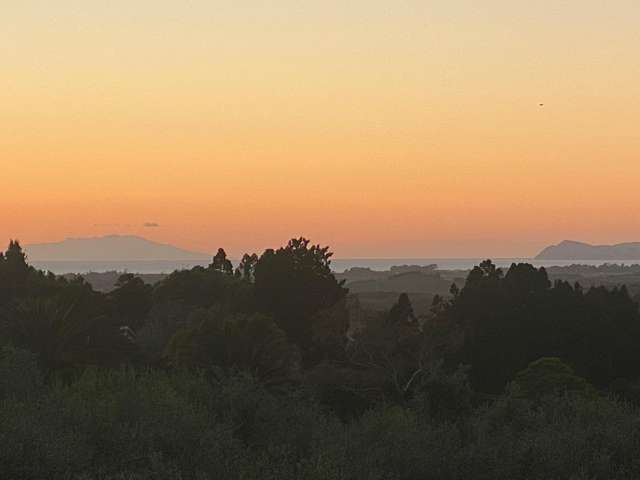 728 Ormiston Road Waipu_1