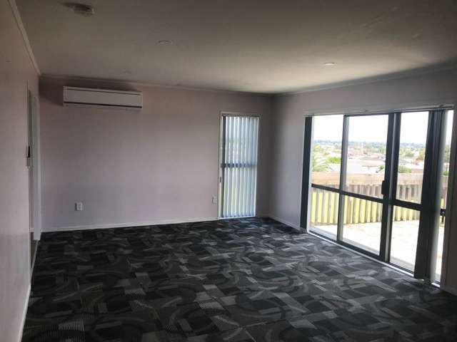 29 Matthews Road Flat Bush_1