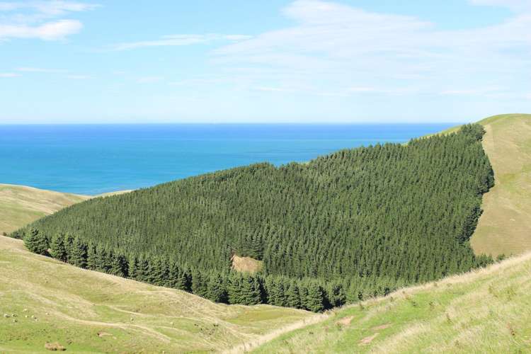 750 Otahome Road Otahome_13