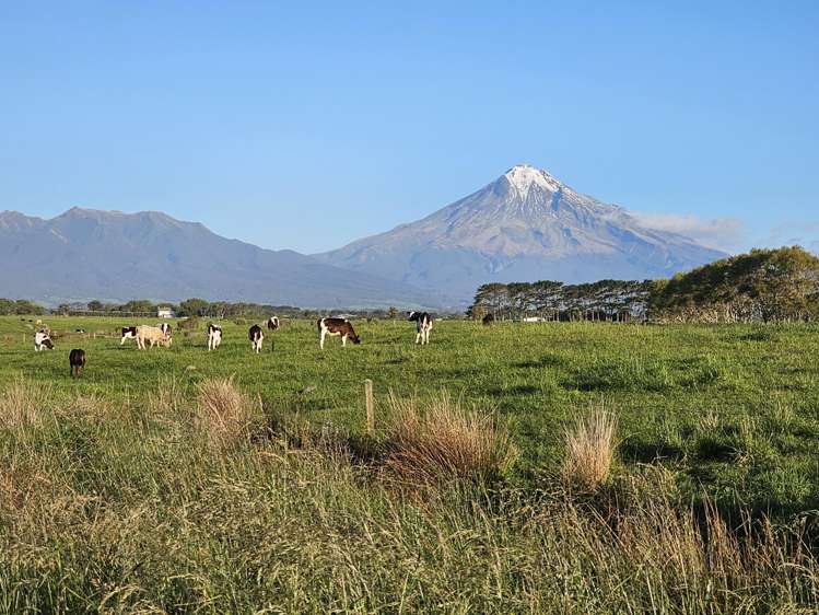 7104 South Road Warea_29