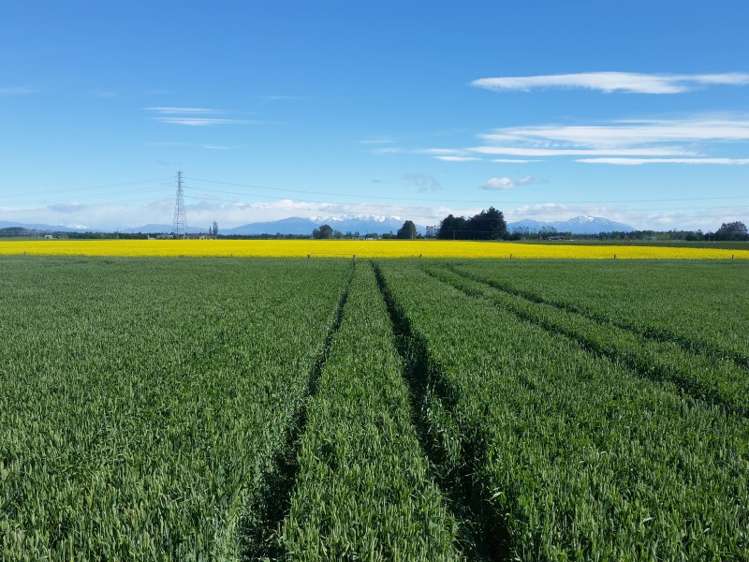 630 Grahams Road Willowby_5