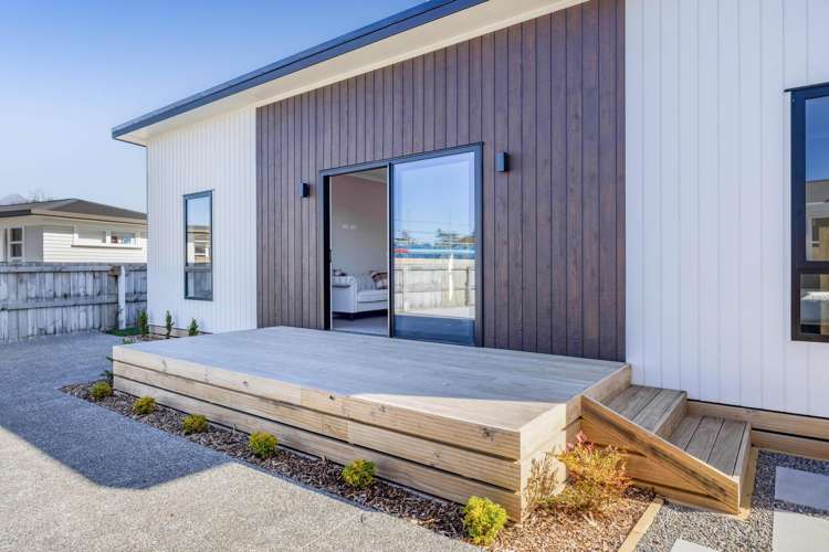 20a Pukatea Street Inglewood_1