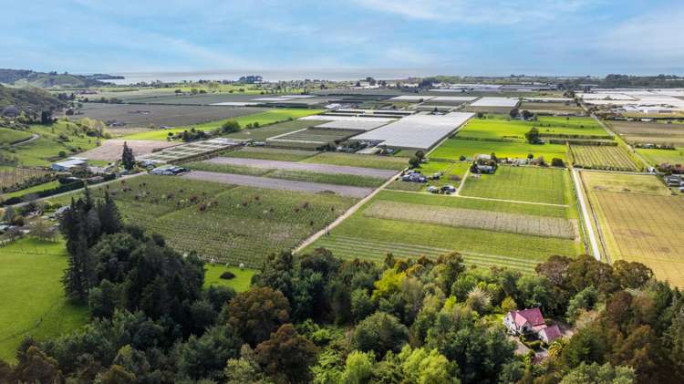 7 Little Sydney Road Brooklyn_24