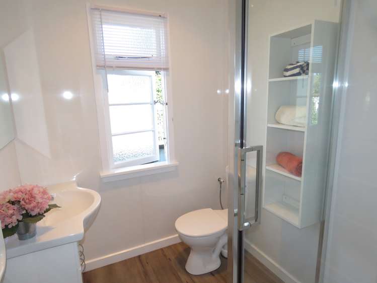 16 Clark Street Allenton_5