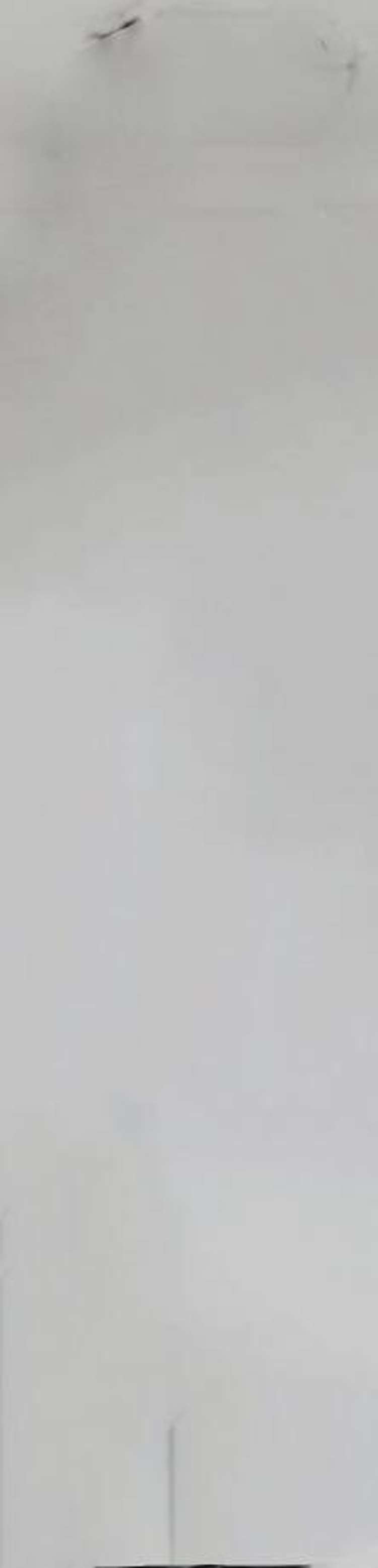 16 Ireland Street Freemans Bay_6