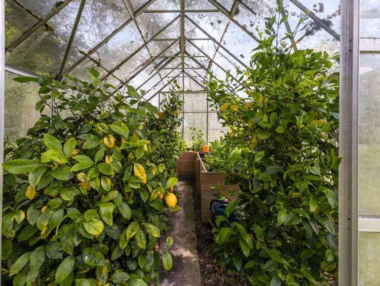 55/57 Raurimu Road Raurimu_18