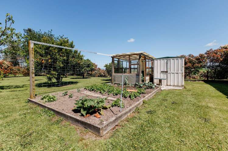 408a Awakeri Road Edgecumbe_39