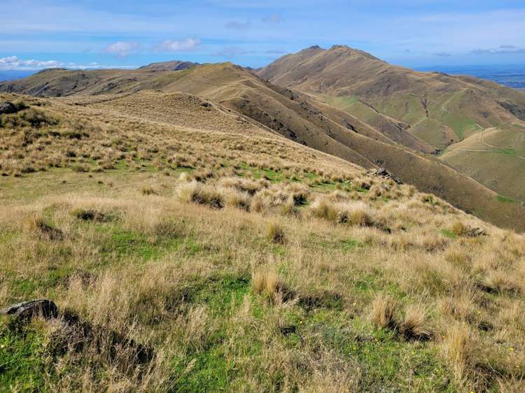 72 Wrights Road Waitaki_14