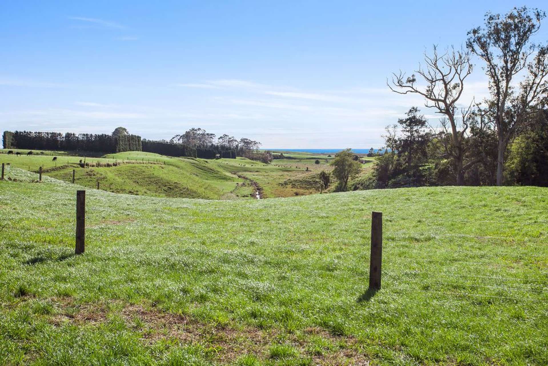 Hukutaia Road Opotiki and Surrounds_0