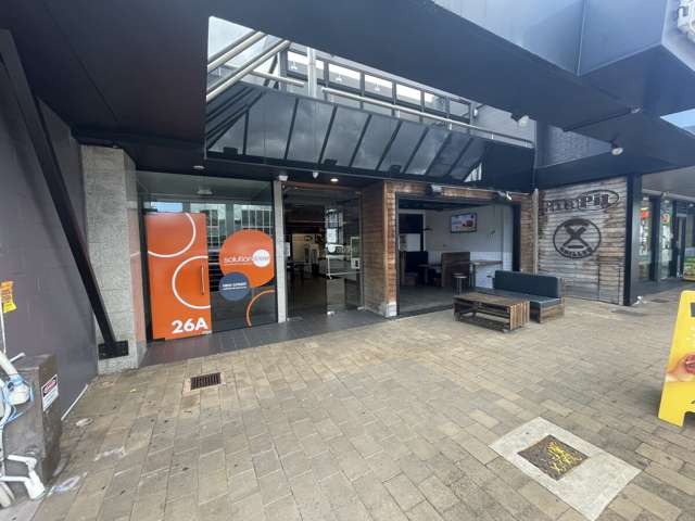 26 Anzac Street Takapuna_3