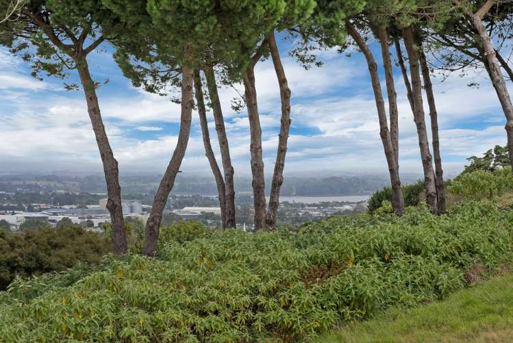 291 Hill Road The Gardens_30