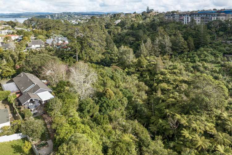 11 Halsey Drive Lynfield_26