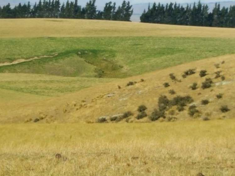 295 Wallaces Ford Road Hindon_11