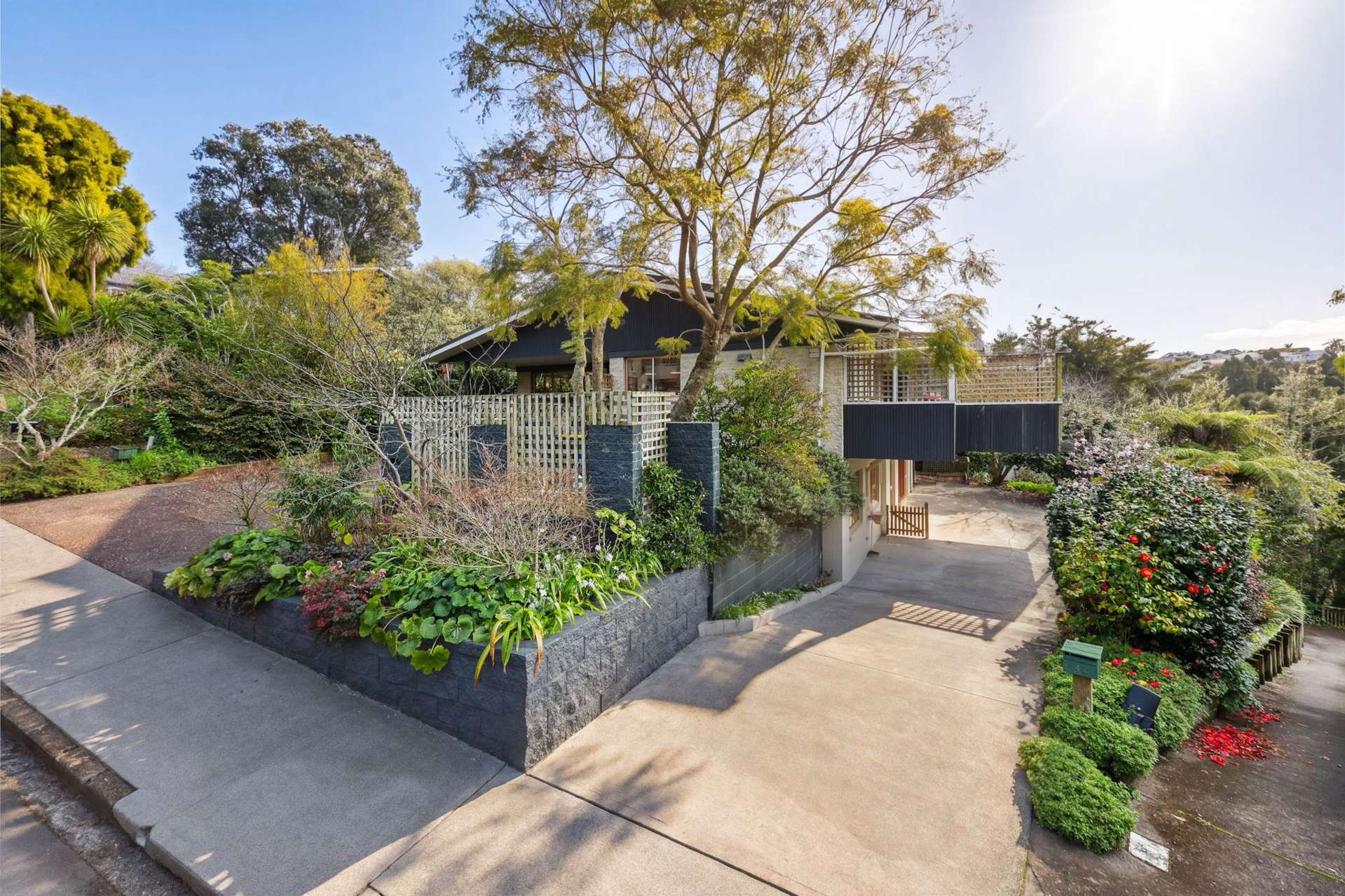 14 Learmonth Avenue Birkenhead Point_0