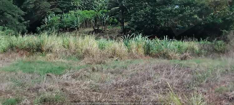 Address withheld Labasa_16