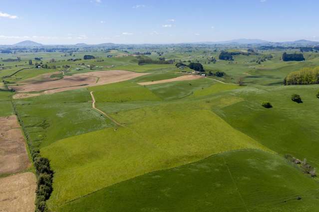 78 Smith Road Otorohanga Surrounds_1