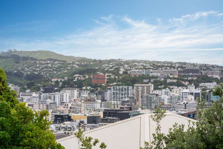 2 Shannon Street Mount Victoria_10