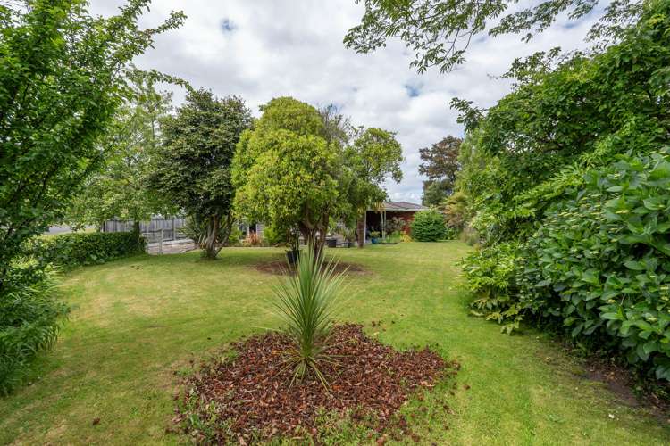 51 Kaka Street Taupo_5