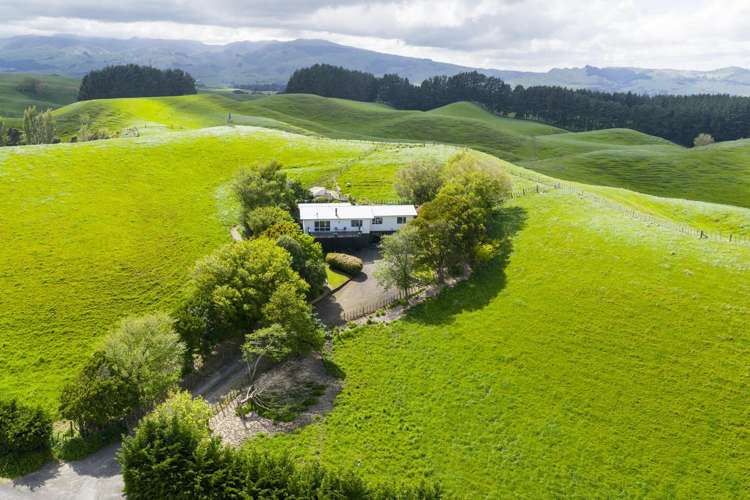 452 Watershed Road Colyton_20