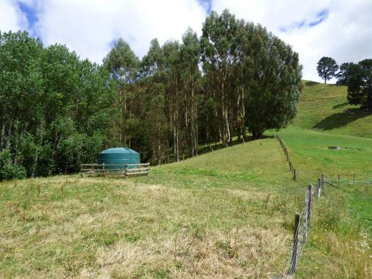 1370 Te Kopia Road Waikite Valley_14