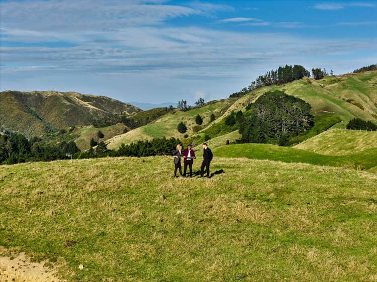 Lot 2,3 and 5/1275 Paekakariki Hill Road Paekakariki Hill_8
