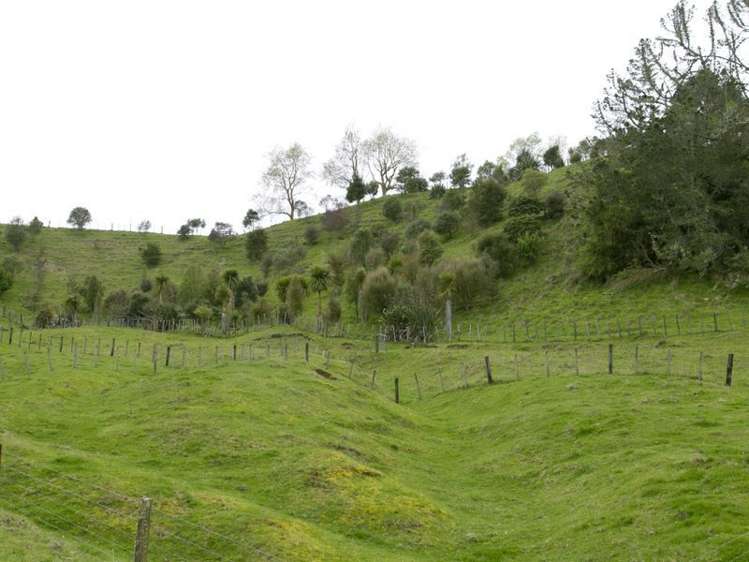 1083 Poihipi Road Oruanui_25