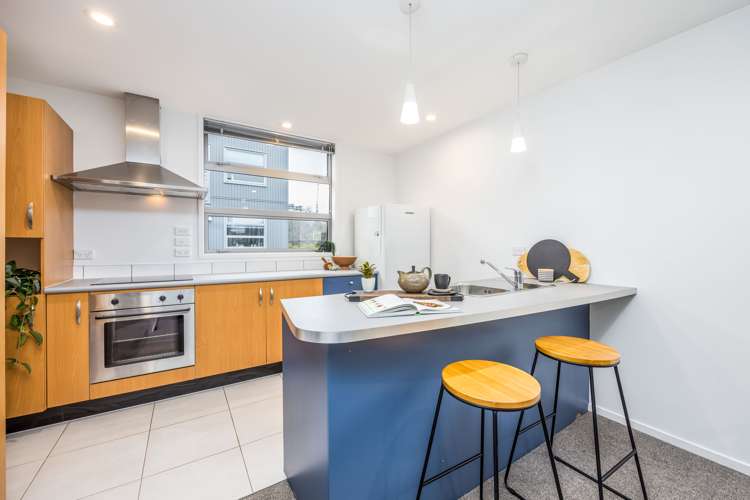 52g Ronayne Street Parnell_7