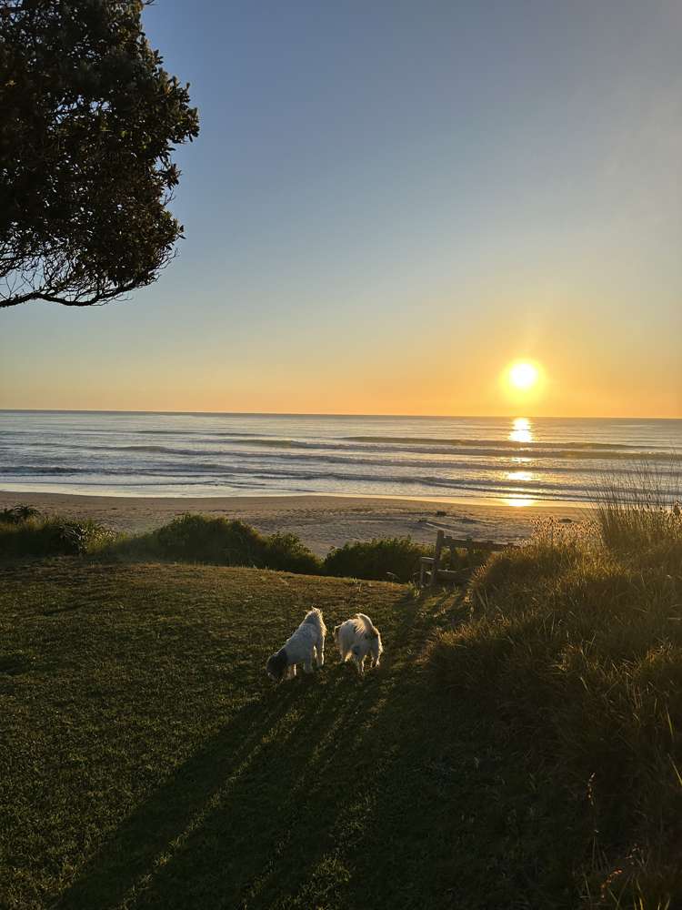 27 Wairere Road Wainui_20