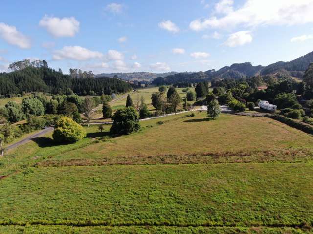 Waitomo Valley Road Waitomo_1