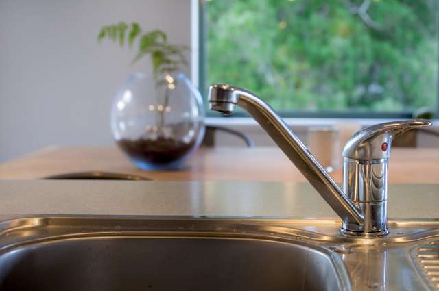 85 Laingholm Drive Laingholm_3