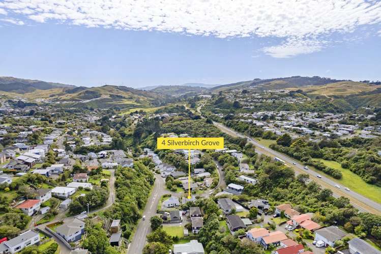 4 Silverbirch Grove Churton Park_17