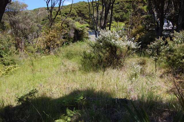 348 Blind Bay Road Great Barrier Island (Aotea Island)_2