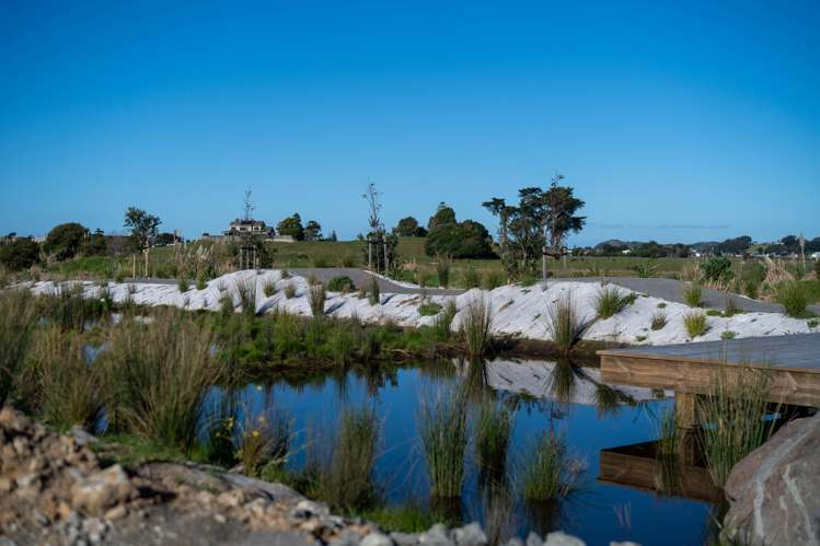 Citrus Avenue Waihi Beach_23
