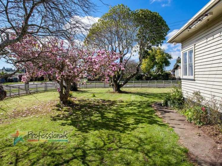 121 College Road Edgecumbe_16