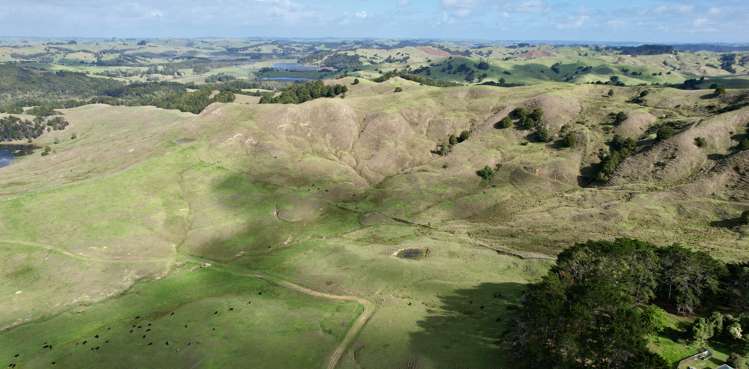 426 Mangarata Block Road Arapohue_3