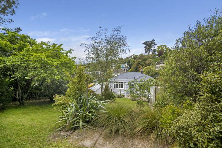 24 Murphy Street Toi Toi_17