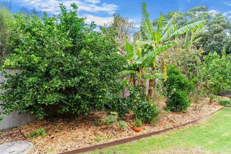 39 Pearson Street Mangawhai_24