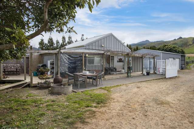 Unique Waihi Lifestyle Property