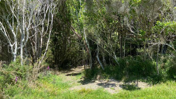 Lot 1 Croisilles-French Pass Road Okiwi Bay_18