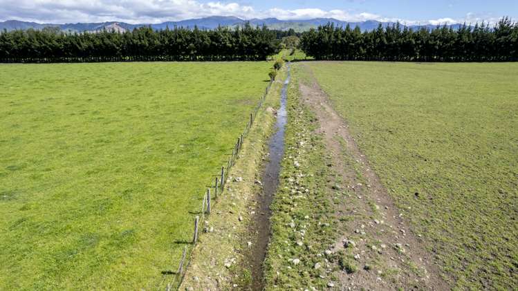 174 Wiltons Road Carterton_16