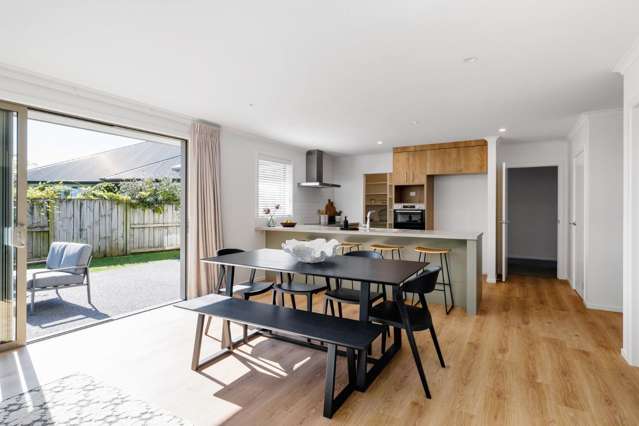 1 Homestead Lane 11373_4