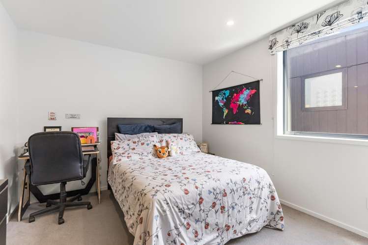 14 Ara Toutouwai Karori_10