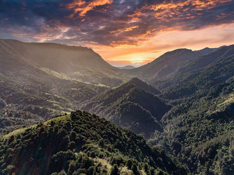 184 Blue Duck Valley Road Seaward Valley_11