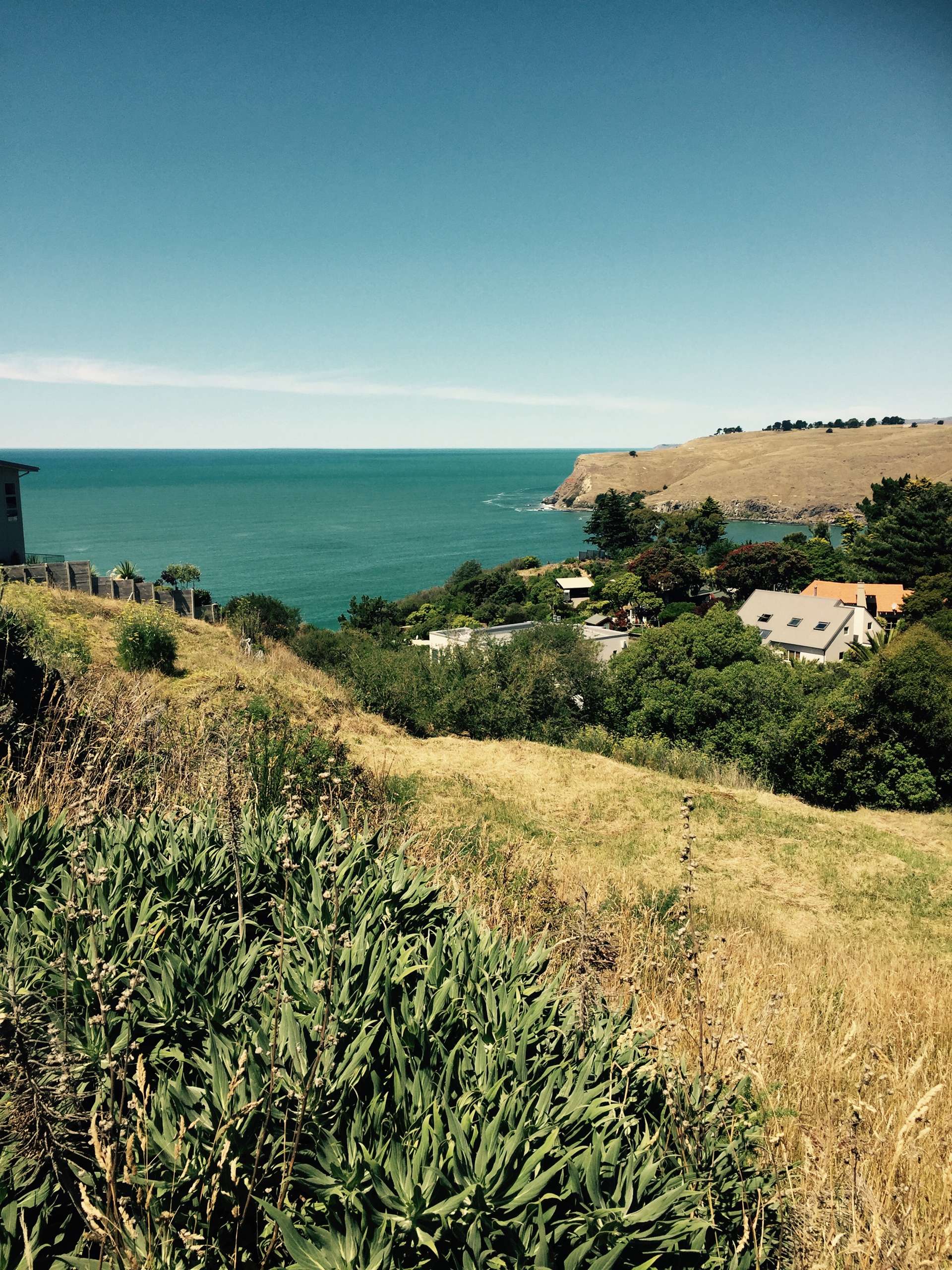 89h Taylors Mistake Road Scarborough Christchurch City Houses for