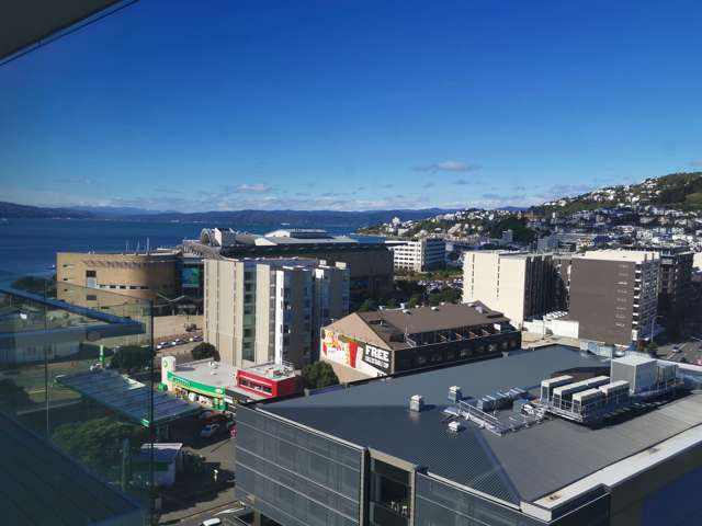 12c/30 Taranaki Street Te Aro_2