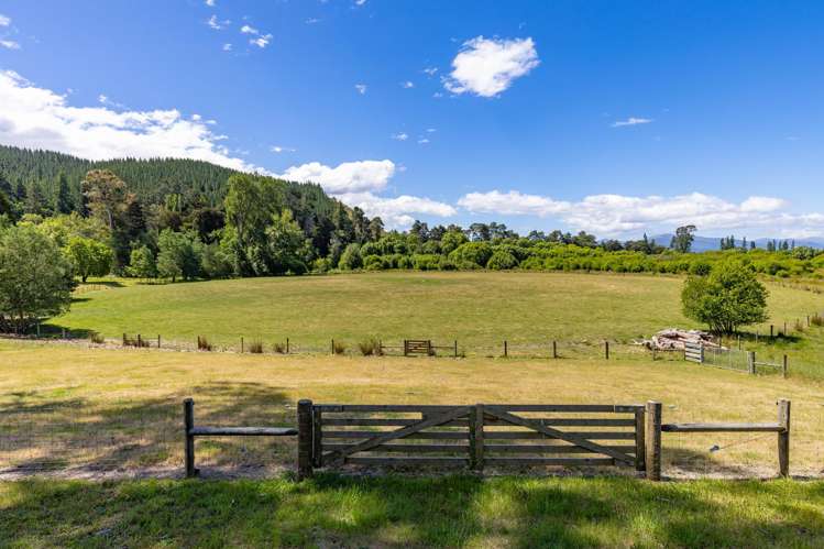 1081 State Highway 63 Renwick_27