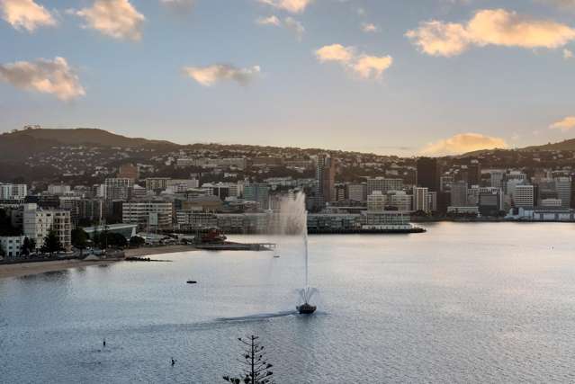 4/308 Oriental Parade Oriental Bay_1